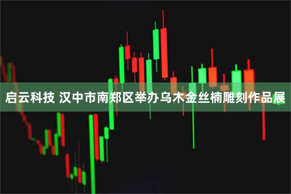 启云科技 汉中市南郑区举办乌木金丝楠雕刻作品展