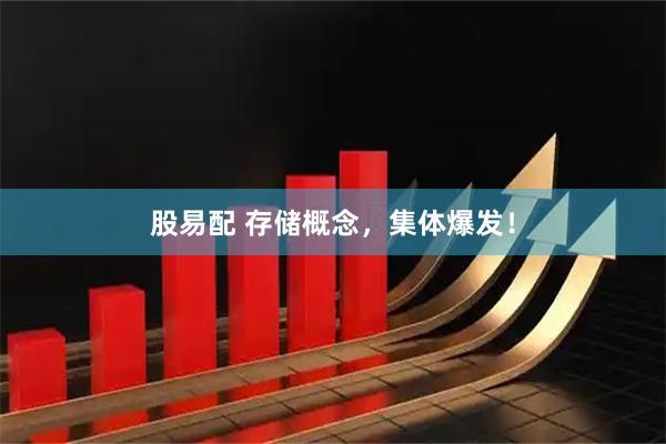 股易配 存储概念，集体爆发！