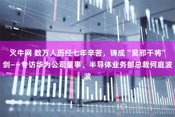 火牛网 数万人历经七年辛苦，铸成“莫邪干将”剑——专访华为公司董事、半导体业务部总裁何庭波