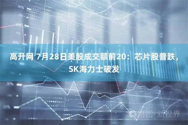 高升网 7月28日美股成交额前20：芯片股普跌，SK海力士破发