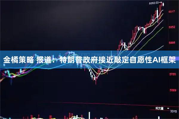 金橘策略 报道：特朗普政府接近敲定自愿性AI框架